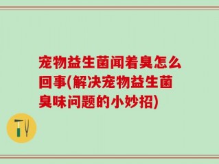 宠物益生菌闻着臭怎么回事(解决宠物益生菌臭味问题的小妙招)