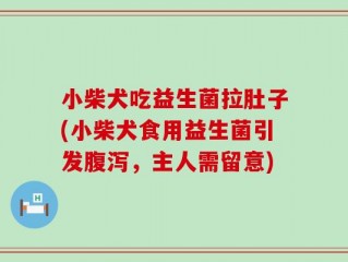 小柴犬吃益生菌拉肚子(小柴犬食用益生菌引发腹泻，主人需留意)