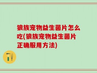 狼族宠物益生菌片怎么吃(狼族宠物益生菌片正确服用方法)