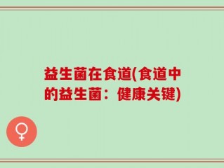 益生菌在食道(食道中的益生菌：健康关键)