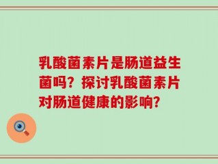 乳酸菌素片是肠道益生菌吗？探讨乳酸菌素片对肠道健康的影响？