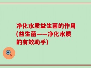 净化水质益生菌的作用(益生菌——净化水质的有效助手)