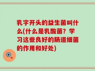 乳字开头的益生菌叫什么(什么是乳酸菌？学习这些良好的肠道细菌的作用和好处)