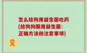 怎么给狗用益生菌吃药(给狗狗服用益生菌：正确方法和注意事项)