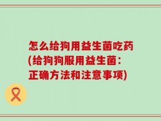 怎么给狗用益生菌吃药(给狗狗服用益生菌：正确方法和注意事项)