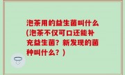 泡茶用的益生菌叫什么(泡茶不仅可口还能补充益生菌？新发现的菌种叫什么？)