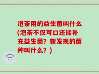 泡茶用的益生菌叫什么(泡茶不仅可口还能补充益生菌？新发现的菌种叫什么？)