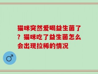 猫咪突然爱喝益生菌了？猫咪吃了益生菌怎么会出现拉稀的情况
