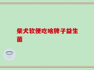 柴犬软便吃啥牌子益生菌