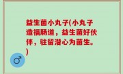 益生菌小丸子(小丸子造福肠道，益生菌好伙伴，驻留潜心为菌生。)