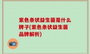 紫色条状益生菌是什么牌子(紫色条状益生菌品牌解析)