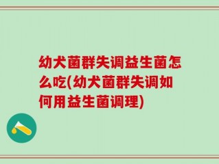 幼犬菌群失调益生菌怎么吃(幼犬菌群失调如何用益生菌调理)
