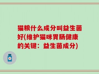 猫粮什么成分叫益生菌好(维护猫咪胃肠健康的关键：益生菌成分)