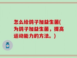 怎么给鸽子加益生菌(为鸽子加益生菌，提高运动能力的方法。)
