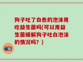 狗子吐了白色的泡沫用吃益生菌吗(可以用益生菌缓解狗子吐白泡沫的情况吗？)