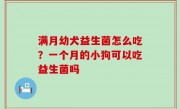 满月幼犬益生菌怎么吃？一个月的小狗可以吃益生菌吗