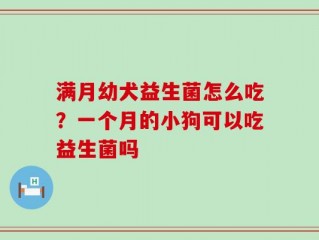 满月幼犬益生菌怎么吃？一个月的小狗可以吃益生菌吗