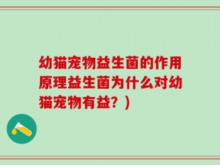 幼猫宠物益生菌的作用原理益生菌为什么对幼猫宠物有益？)