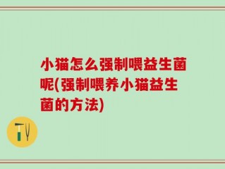 小猫怎么强制喂益生菌呢(强制喂养小猫益生菌的方法)