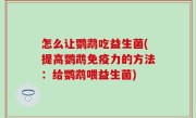 怎么让鹦鹉吃益生菌(提高鹦鹉免疫力的方法：给鹦鹉喂益生菌)