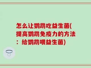 怎么让鹦鹉吃益生菌(提高鹦鹉免疫力的方法：给鹦鹉喂益生菌)