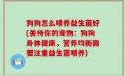 狗狗怎么喂养益生菌好(善待你的宠物：狗狗身体健康，营养均衡需要注重益生菌喂养)