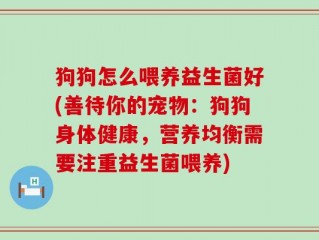 狗狗怎么喂养益生菌好(善待你的宠物：狗狗身体健康，营养均衡需要注重益生菌喂养)