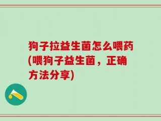 狗子拉益生菌怎么喂药(喂狗子益生菌，正确方法分享)