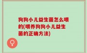 狗狗小儿益生菌怎么喂的(喂养狗狗小儿益生菌的正确方法)