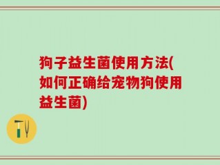 狗子益生菌使用方法(如何正确给宠物狗使用益生菌)