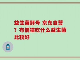 益生菌酵母 京东自营？布偶猫吃什么益生菌比较好