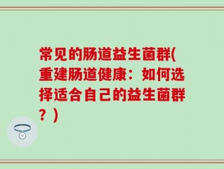 常见的肠道益生菌群(重建肠道健康：如何选择适合自己的益生菌群？)