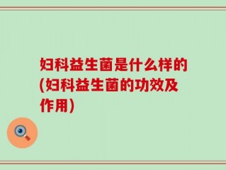 妇科益生菌是什么样的(妇科益生菌的功效及作用)