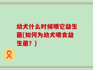 幼犬什么时候喂它益生菌(如何为幼犬喂食益生菌？)