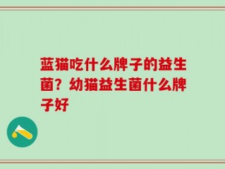 蓝猫吃什么牌子的益生菌？幼猫益生菌什么牌子好