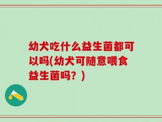 幼犬吃什么益生菌都可以吗(幼犬可随意喂食益生菌吗？)