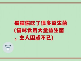 猫猫偷吃了很多益生菌(猫咪食用大量益生菌，主人困惑不已)