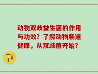 动物双歧益生菌的作用与功效？了解动物肠道健康，从双歧菌开始？