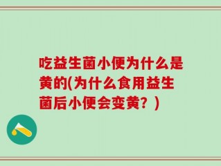 吃益生菌小便为什么是黄的(为什么食用益生菌后小便会变黄？)