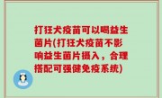 打狂犬疫苗可以喝益生菌片(打狂犬疫苗不影响益生菌片摄入，合理搭配可强健免疫系统)