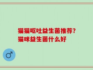 猫猫呕吐益生菌推荐？猫咪益生菌什么好