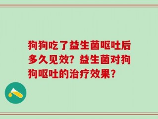 狗狗吃了益生菌呕吐后多久见效？益生菌对狗狗呕吐的治疗效果？