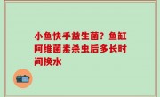 小鱼快手益生菌？鱼缸阿维菌素杀虫后多长时间换水