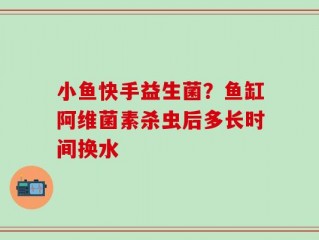 小鱼快手益生菌？鱼缸阿维菌素杀虫后多长时间换水