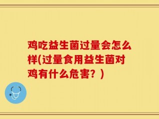 鸡吃益生菌过量会怎么样(过量食用益生菌对鸡有什么危害？)