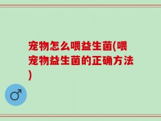 宠物怎么喂益生菌(喂宠物益生菌的正确方法)