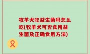 牧羊犬吃益生菌吗怎么吃(牧羊犬可否食用益生菌及正确食用方法)