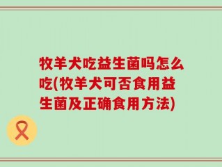 牧羊犬吃益生菌吗怎么吃(牧羊犬可否食用益生菌及正确食用方法)