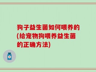 狗子益生菌如何喂养的(给宠物狗喂养益生菌的正确方法)