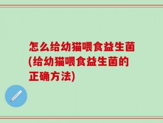 怎么给幼猫喂食益生菌(给幼猫喂食益生菌的正确方法)
